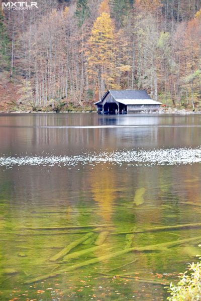 http://www.maxtyler.at/files/gimgs/5_landscape6.jpg